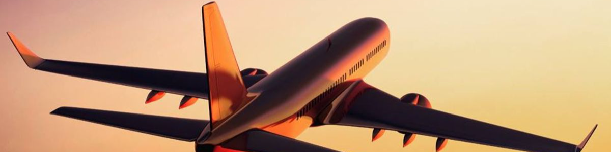 [INFo~GUIDe] Understanding American AirlinesÂ® Name Correction Options for Corporate Bookings - Better Giving