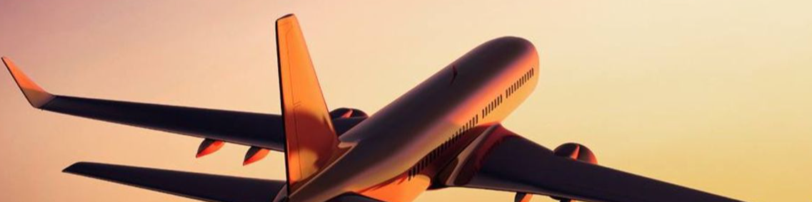 â¦Flight Booking Guideâ§How to Book Delta Airlines Group Flights Easily - Better Giving