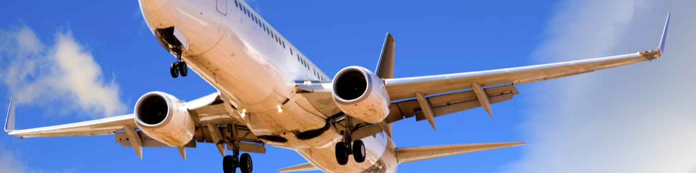 Budget Car Rental: Everything You Need to Know for a Smooth Rental Experience - Better Giving