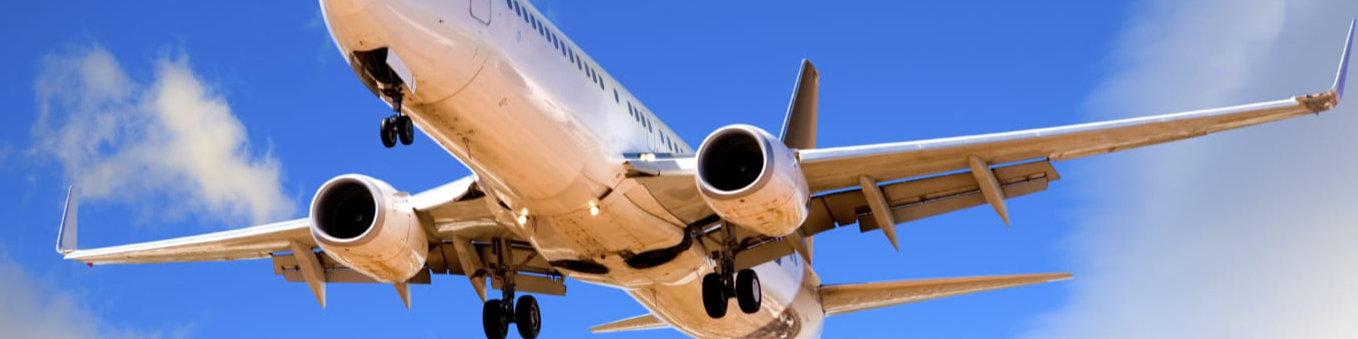 Talk to Budget Car Rental Live: Official Phone Number Assistance - Better Giving