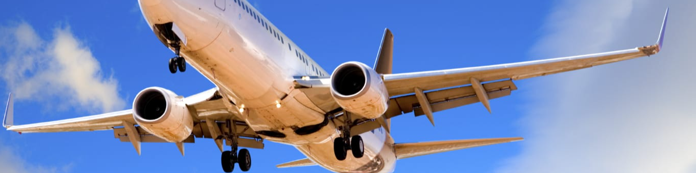 How Royal Caribbeanâs 3:1:1 Rule Works for Passengers ãExpert~Helpâ¢ã - Better Giving