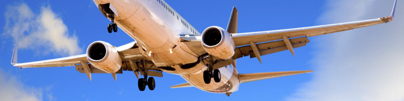 Does Avis Offer Senior Discounts? Everything You Need to Know - Better Giving