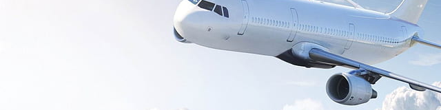 ( ð½ree-ðalk) How do I get my boarding pass if I booked online? - Better Giving