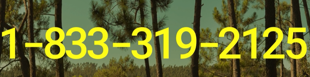 [â¨Complete â¶Smartâ¶GuiDeâ¢] JetblueÂ® Flight Name Change Policy [Step~By~Stepâ¶Traveler~Info ] - Better Giving