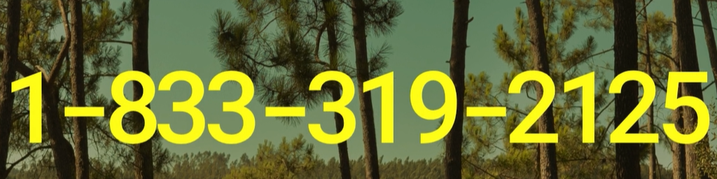 Missed Your Jetblue Airlines Flight? Hereâs What Happens Next - Skip ~ Waiting - Better Giving