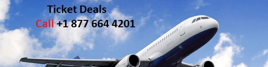 Hotwire Flight Booking:Tips, Tricks, and Best Practices - Better Giving