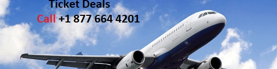 Hotwire Senior Travel Savings: Tips for Using Flight Discounts - Better Giving