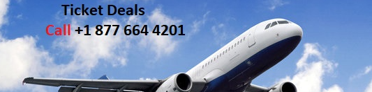 (Complete 2025 Guide) What Happens If Hotwire Cancels My Flight? - Better Giving