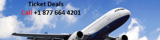 Does Hotwire Provide Vacation Packages? - Better Giving