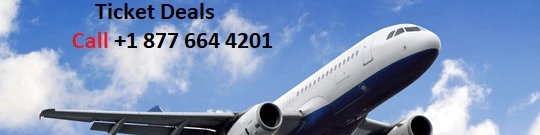 {Step-by-Step Tips} How Can I Rebook My Hotwire Flight? - Better Giving