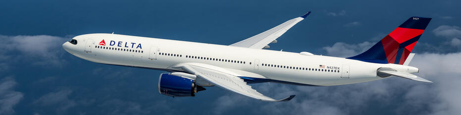 [UltimATEâ¨â¶Handbookâ¢] How to Change or Correct a Name on Delta Flight? - Better Giving